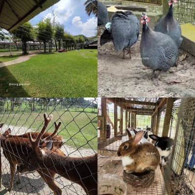 UK farm agro resort